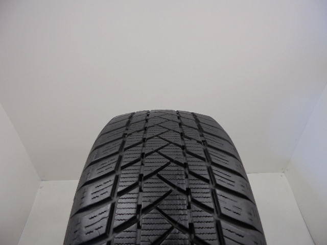 GT Radial Winter Pro 2 reifen