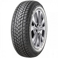 GT Radial GTRADIAL W-PRO2 reifen